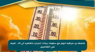 عاصفة برد مرتقبة اليوم مع سقوط درجات الحرارة بالقاهرة إلى 35.. تعرف على التفاصيل